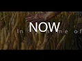 Download Lagu Ada Ehi - Now (Lyric Video)