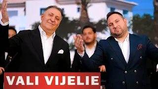 Cover Vali Vijelie si Petrut Babiac - Mai da-mi Doamne ani