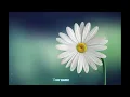 Beautiful - Ogie Alcasid and Moira Dela Torre (Lyrics)