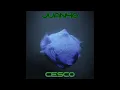 Juan40.    Cesco.        140/Deep Dubstep/Grime