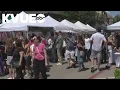 Things to do in the Austin area this weekend Pecan Street Festival Chinese Culture Festival and mo