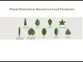 A Novel Method for Plant Detection Based on Leaf Features using MATLAB