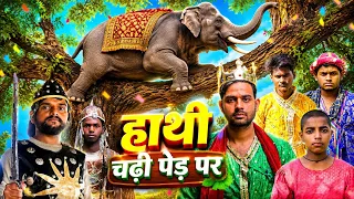 हाथी चढ़ी पेड़ पर 😂 | राजा महाराजा की मजेदार कहानी | Funny Comedy Video | King Bro 07