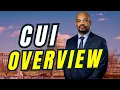 CUI Overview in Under 5 Minutes - Cleared Systems