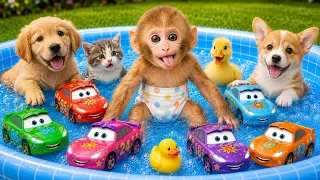 Bim Bim the little monkey drives a tractor to carry colorful toy cars and his friends