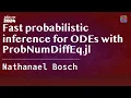 Fast probabilistic inference for ODEs with ProbNumDiffEq jl Bosch JuliaCon 2024