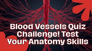 Blood Vessels Decoded Quiz Your Way to Anatomy Mastery