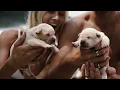 dash berlin "never cry again"