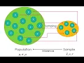Statistical Sampling - Methods and Applications Explained 8 Minutes