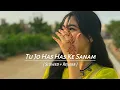 Download Lagu Tu Jo Has Has Ke Sanam ( Slowed + Reverb ) Hindi song