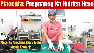     Pregnancy Mein Placenta Ka Kya Kaam Hota Hai? Full Explanation