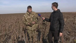 На полях региона завершается уборка подсолнечника