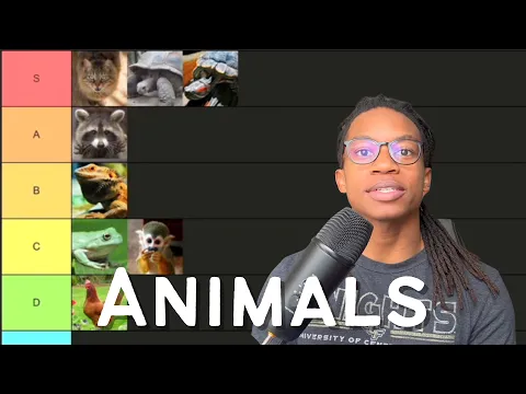 Ranking My Favourite Animals | English Comprehensible Input A2 Beginner