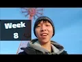 Flatiron Coding Bootcamp Week 8 Javascript Code Challenge