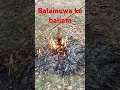 Download Lagu Balamuwa Ke Ballam #bhojpuri #song #entertainment #newsong #khesarilalkajalraghwani #khesari