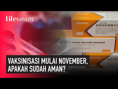 Pemberian Vaksin Corona di Indonesia Mulai November 2020, Apakah Sudah Efektif?