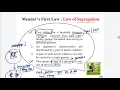 Monohybrid Test cross and Self cross practice 9