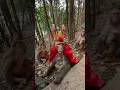 Download Lagu साउथ कोरिया में बंदर की शादी बंदरिया से#monkey #wedding #viralvideo