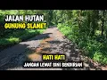 Download Lagu BAYAR BAYAR DAN BAYAR SEMAHAL INIKAH TEMPAT TEMPAT WISATA DI INDONESIA?