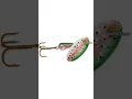 Download Lagu 5 Umpan Terbaik untuk Ikan Trout Pelangi