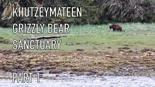 Life is Like Sailing – Khutzeymateen Grizzly Bear Sanctuary – Part 1