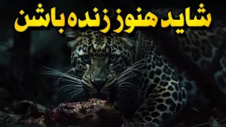 حیوانات منقرض شده ای که شاید هنوز زنده باشن  دندنها