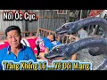Download Lagu NỔI ỐC CỤC.Gia Chủ Bất Nhầm Trăng Phóng Sanh.12 Giờ Khuya Về Đồi M.ạng Gia Chủ Cầu cứu 