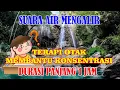 Download Lagu Suara gemercik air mengalir jernih dan suara kicauan burung di alam liar cocok untuk terapi masteran