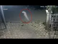 Lagu Detik² Pocong Terbang depan Rumah Warga! 6 Penampakan Hantu Terjelas dan Seram yang Membuat Heboh