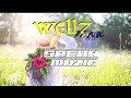 Download Lagu SPERK x WELLZ x DAEV   KAMBA KA LOVE KDANSé