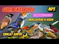 Download Lagu PIKAT BURCIL KOMBINASI SOGON RIBUT DAN  RIBUT MP3 ANTI ZONK SUARA JERNIH