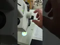 How to turn on and use the Leica EZ4W dissecting microscope