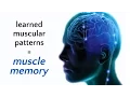 What is Somatics Thomas Hanna s Clinical Somatic Education