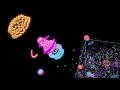 3D particle life the website just updated
