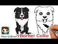 How to Draw a Border Collie Puppy Dog Easy