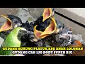 Lagu GUDANG BURUNG BEO LOLOHAN DAN CAK IJO SUPER BIG DIPASAR BURUNG PRAMUKA KIOS YANTO TERBARU HARI INI