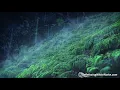 Tropical Thunderstorm with Rain Sounds White Noise | Sleep, Study, Focus | 10 Hours