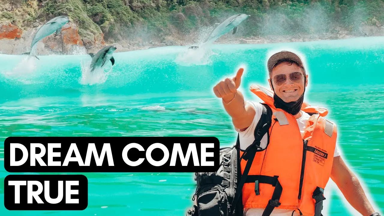 WILD DOLPHINS, WHALES AND SHARKS!😱 | Whale and dolphin watching | VLOG #094