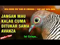 Download Lagu Calon Jutawan Baru 2025 | PERKUTUT KATURANGGAN YANG BIKIN KAYA RAYA TAHUN 2025 | Sedang Diburu