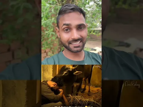 जानबर से प्यार करना 😢 #shorts #humanity