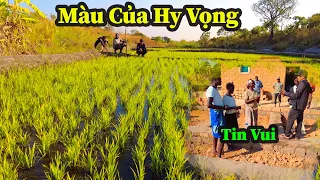 Quang Dũng || Khi Có Bàn Tay Người Việt Nam Hỗ Trợ , Mọi Thứ Có Vẻ Dễ Dàng Hơn Nhiều