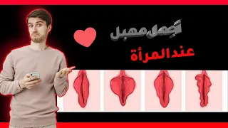 أنواع وأشكال المهبل 
