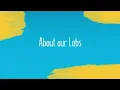 About our Labs MindTap for IT Networking and Security