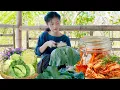 Download Lagu How to Make Crunchy and Spicy Cabbage Kimchi from Fresh Harvest
