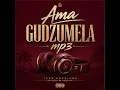 Ama Gudzumela -Optimist Music ZA x MOOtion