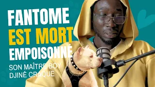 L Histoire De Fantôme Le Chien De Boy Djine 17 Ans D Amour Une Mort Brutale 