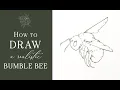 How To Draw a Realistic Bumble Bee