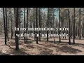 Arctic Monkeys - 505 (lyrics)