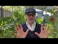 How to create bird baths and small water features in your garden.