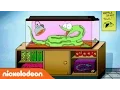 Sanjay and Craig Theme Song Nick